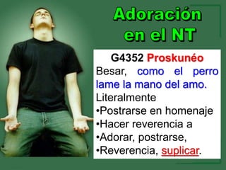 G4352 Proskunéo
Besar, como el perro
lame la mano del amo.
Literalmente
•Postrarse en homenaje
•Hacer reverencia a
•Adorar, postrarse,
•Reverencia, suplicar.
 