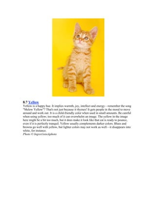 8.7 Yellow
Yellow is a happy hue. It implies warmth, joy, intellect and energy—remember the song
"Melow Yellow"? That's not just because it rhymes! It gets people in the mood to move
around and work out. It is a child-friendly color when used in small amounts. Be careful
when using yellow; too much of it can overwhelm an image. The yellow in the image
here might be a bit too much, but it does make it look like that cat is ready to pounce,
even if it is perfectly tranquil. Yellow usually complements darker colors. Blues and
browns go well with yellow, but lighter colors may not work as well—it disappears into
white, for instance.
Photo © Ingret/istockphoto
 