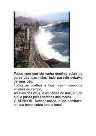 Fazes com que ele tenha domínio sobre as
obras das tuas mãos; tudo puseste debaixo
de seus pés:
Todas as ovelhas e bois, assim como os
animais do campo,
As aves dos céus, e os peixes do mar, e tudo
o que passa pelas veredas dos mares.
O SENHOR, Senhor nosso, quão admirável
é o teu nome sobre toda a terra!
 