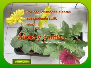 (P. Teilhard de Chardin) Sor Mª Celina 