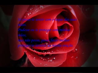 Só posso te sentir com o toque das suas mãos. Pudesse eu te proteger com minhas mãos, mas não posso, posso fazer melhor proteger-te através da minha oração. 