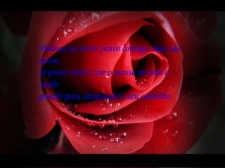 Pudesse eu correr junto contigo, mas não posso, só posso correr com o mouse na mão e sendo guiado para atravessar o seu caminho. 