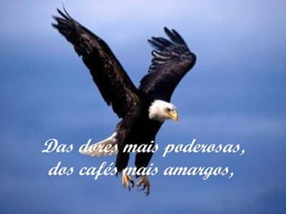 Das dores mais poderosas,Das dores mais poderosas,
dos cafés mais amargos,dos cafés mais amargos,
 