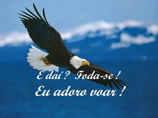E daí ? Foda-se !E daí ? Foda-se !
Eu adoro voar !Eu adoro voar !
 
