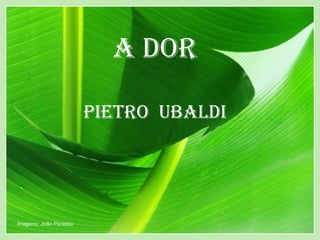 A Dor

                        Pietro UbAlDi




Imagens: João Parassu
 