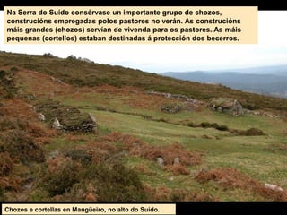 Chozos e cortellas en Mangüeiro, no alto do Suído.
Na Serra do Suído consérvase un importante grupo de chozos,
construcións empregadas polos pastores no verán. As construcións
máis grandes (chozos) servían de vivenda para os pastores. As máis
pequenas (cortellos) estaban destinadas á protección dos becerros.
 