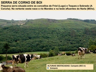 SERRA DE CORNO DE BOI
Pequena serra situada entre os concellos de Friol (Lugo) e Toques e Sobrado (A
Coruña). Na vertente oeste nace o río Mandeo e na leste afluentes do Narla (Miño).
ALTURAS DESTACADAS: Campelo (803 m)
bosques
 