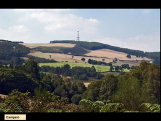 Campelo
 