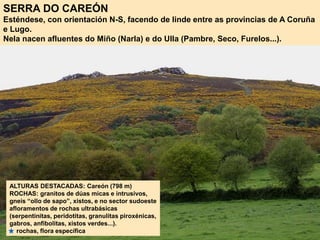 SERRA DO CAREÓN
Esténdese, con orientación N-S, facendo de linde entre as provincias de A Coruña
e Lugo.
Nela nacen afluentes do Miño (Narla) e do Ulla (Pambre, Seco, Furelos...).
ALTURAS DESTACADAS: Careón (798 m)
ROCHAS: granitos de dúas micas e intrusivos,
gneis “ollo de sapo”, xistos, e no sector sudoeste
afloramentos de rochas ultrabásicas
(serpentinitas, peridotitas, granulitas piroxénicas,
gabros, anfibolitas, xistos verdes...).
rochas, flora específica
 