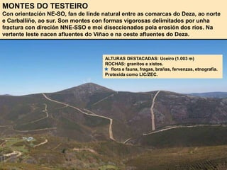 MONTES DO TESTEIRO
Con orientación NE-SO, fan de linde natural entre as comarcas do Deza, ao norte
e Carballiño, ao sur. Son montes con formas vigorosas delimitados por unha
fractura con direción NNE-SSO e moi diseccionados pola erosión dos ríos. Na
vertente leste nacen afluentes do Viñao e na oeste afluentes do Deza.
ALTURAS DESTACADAS: Uceiro (1.003 m)
ROCHAS: granitos e xistos.
flora e fauna, fragas, brañas, fervenzas, etnografía.
Protexida como LIC/ZEC.
 