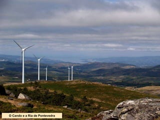 O Cando e a Ría de Pontevedra
 