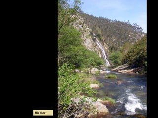 Río Sor
 
