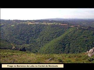 Fraga no Barranco da Loba no Cordal de Montouto
 