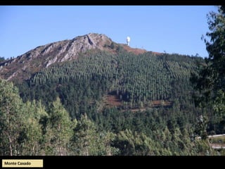 Monte Caxado
 