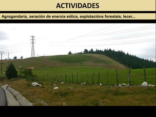 ACTIVIDADES
Agrogandaría, xeración de enerxía eólica, explotacións forestais, lecer...
 