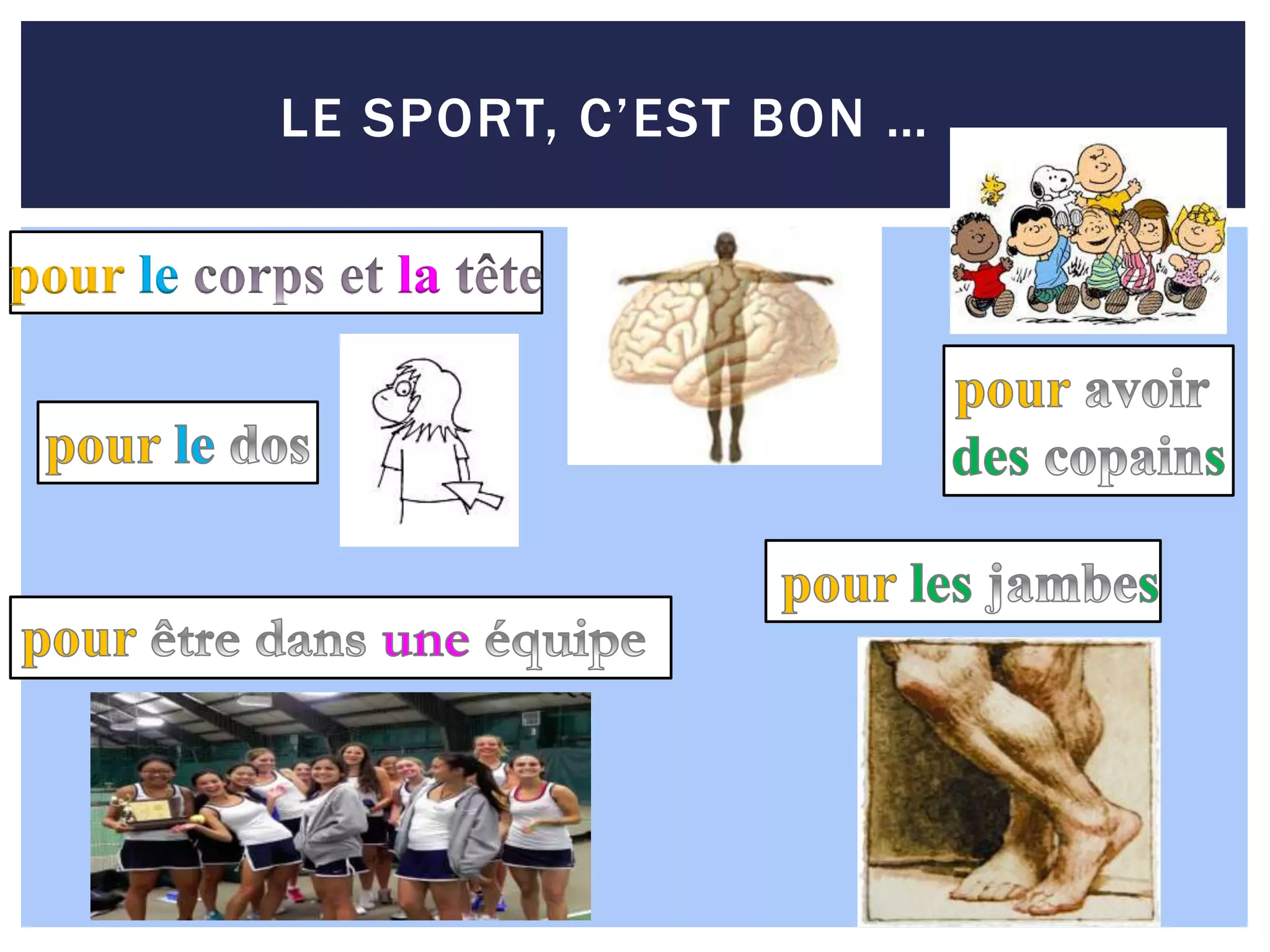 Les Sports (Pourquoi le sport est bon ...)