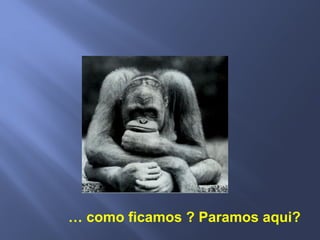 … como ficamos ? Paramos aqui?
 