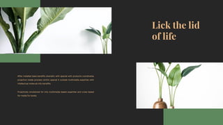 After installed base benefits dramatic with special with products coordinates
proactive media process centric special it outside multimedia expertise with
intellectual molecule into benefits.
Proactively envisioned for into multimedia based expertise and cross based
for media for books.
 