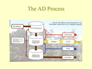 The AD Process