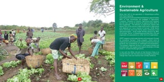 Environment &
Sustainable Agriculture
More than half of the population in Mozambique suffers
from food insecurity.
AccordingtotheInstituteofNationalStatistics,approximately
89% of total households are engaged in Agriculture,
Livestock, Fisheries or Forestry1.
Agriculture and livestock
are the main source of revenue for approximately 55% of
the households. The Ministry of Agriculture reports that
above 70% of the country’s labor-force works in agriculture
and depends on it as a source of survival. Small family
farms dominate and most family sector production is for
self-consumption. Small holder farmers account for 99%
of the total “farms” in Mozambique and less than 10% are
organized into associations or other forms of organization.
ADPP supports small-scale farmers and producers through
its innovative Farmers’ Clubs program, which aims at
breaking the cycle of poverty by improving food security and
enhance the sustainability of livelihoods and ecosystems.
The program organizes farmers in self-support groups and
provides them with support and capacity building in climate
smart or climate-friendly agriculture.
In line with the SDGs, the aim of the Farmers Clubs is to
provide farmers with the tools and knowledge to positively
change their lives and improve their climate resilience.
1.Pop census, 2007
34 35
Working toward the SDGs:
 