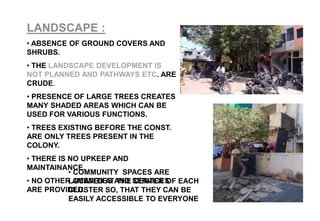 LANDSCAPE :
• ABSENCE OF GROUND COVERS AND
SHRUBS.
• THE LANDSCAPE DEVELOPMENT IS
NOT PLANNED AND PATHWAYS ETC. ARE
CRUDE.
• PRESENCE OF LARGE TREES CREATES
MANY SHADED AREAS WHICH CAN BE
USED FOR VARIOUS FUNCTIONS.
• TREES EXISTING BEFORE THE CONST.
ARE ONLY TREES PRESENT IN THE
COLONY.
• THERE IS NO UPKEEP AND
MAINTAINANCE.
• NO OTHER AMENITIES AND SERVICES
ARE PROVIDED.
• COMMUNITY SPACES ARE
LOCATED AT THE CENTER OF EACH
CLUSTER SO, THAT THEY CAN BE
EASILY ACCESSIBLE TO EVERYONE
 