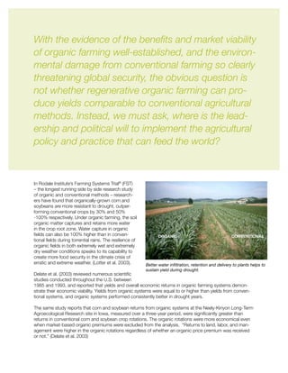 In Rodale Institute’s Farming Systems Trial®
(FST)
– the longest running side by side research study
of organic and conventional methods – research-
ers have found that organically-grown corn and
soybeans are more resistant to drought, outper-
forming conventional crops by 30% and 50%
-100% respectively. Under organic farming, the soil
organic matter captures and retains more water
in the crop root zone. Water capture in organic
fields can also be 100% higher than in conven-
tional fields during torrential rains. The resilience of
organic fields in both extremely wet and extremely
dry weather conditions speaks to its capability to
create more food security in the climate crisis of
erratic and extreme weather. (Lotter et al. 2003).
Delate et al. (2003) reviewed numerous scientific
studies conducted throughout the U.S. between
1985 and 1993, and reported that yields and overall economic returns in organic farming systems demon-
strate their economic viability. Yields from organic systems were equal to or higher than yields from conven-
tional systems, and organic systems performed consistently better in drought years.
The same study reports that corn and soybean returns from organic systems at the Neely-Kinyon Long-Term
Agroecological Research site in Iowa, measured over a three-year period, were significantly greater than
returns in conventional corn and soybean crop rotations. The organic rotations were more economical even
when market-based organic premiums were excluded from the analysis. “Returns to land, labor, and man-
agement were higher in the organic rotations regardless of whether an organic price premium was received
or not.” (Delate et al. 2003)
With the evidence of the benefits and market viability
of organic farming well-established, and the environ-
mental damage from conventional farming so clearly
threatening global security, the obvious question is
not whether regenerative organic farming can pro-
duce yields comparable to conventional agricultural
methods. Instead, we must ask, where is the lead-
ership and political will to implement the agricultural
policy and practice that can feed the world?
Better water infiltration, retention and delivery to plants helps to
sustain yield during drought.
 