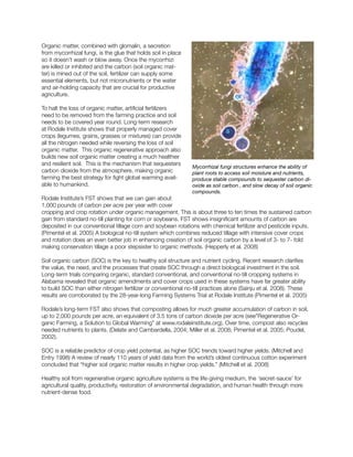 Organic matter, combined with glomalin, a secretion
from mycorrhizal fungi, is the glue that holds soil in place
so it doesn’t wash or blow away. Once the mycorrhizi
are killed or inhibited and the carbon (soil organic mat-
ter) is mined out of the soil, fertilizer can supply some
essential elements, but not micronutrients or the water
and air-holding capacity that are crucial for productive
agriculture.
To halt the loss of organic matter, artificial fertilizers
need to be removed from the farming practice and soil
needs to be covered year round. Long-term research
at Rodale Institute shows that properly managed cover
crops (legumes, grains, grasses or mixtures) can provide
all the nitrogen needed while reversing the loss of soil
organic matter. This organic regenerative approach also
builds new soil organic matter creating a much healthier
and resilient soil. This is the mechanism that sequesters
carbon dioxide from the atmosphere, making organic
farming the best strategy for fight global warming avail-
able to humankind.
Rodale Institute’s FST shows that we can gain about
1,000 pounds of carbon per acre per year with cover
cropping and crop rotation under organic management. This is about three to ten times the sustained carbon
gain from standard no-till planting for corn or soybeans. FST shows insignificant amounts of carbon are
deposited in our conventional tillage corn and soybean rotations with chemical fertilizer and pesticide inputs.
(Pimentel et al. 2005) A biological no-till system which combines reduced tillage with intensive cover crops
and rotation does an even better job in enhancing creation of soil organic carbon by a level of 3- to 7- fold
making conservation tillage a poor stepsister to organic methods. (Hepperly et al. 2008)
Soil organic carbon (SOC) is the key to healthy soil structure and nutrient cycling. Recent research clarifies
the value, the need, and the processes that create SOC through a direct biological investment in the soil.
Long-term trials comparing organic, standard conventional, and conventional no-till cropping systems in
Alabama revealed that organic amendments and cover crops used in these systems have far greater ability
to build SOC than either nitrogen fertilizer or conventional no-till practices alone (Sainju et al. 2008). These
results are corroborated by the 28-year-long Farming Systems Trial at Rodale Institute (Pimentel et al. 2005)
Rodale’s long-term FST also shows that composting allows for much greater accumulation of carbon in soil,
up to 2,000 pounds per acre, an equivalent of 3.5 tons of carbon dioxide per acre (see”Regenerative Or-
ganic Farming, a Solution to Global Warming” at www.rodaleinstitute.org). Over time, compost also recycles
needed nutrients to plants. (Delate and Cambardella, 2004; Miller et al. 2008; Pimentel et al. 2005; Poudel,
2002).
SOC is a reliable predictor of crop yield potential, as higher SOC trends toward higher yields. (Mitchell and
Entry 1998) A review of nearly 110 years of yield data from the world’s oldest continuous cotton experiment
concluded that “higher soil organic matter results in higher crop yields.” (Mitchell et al. 2008)
Healthy soil from regenerative organic agriculture systems is the life-giving medium, the ‘secret-sauce’ for
agricultural quality, productivity, restoration of environmental degradation, and human health through more
nutrient-dense food.
Mycorrhizal fungi structures enhance the ability of
plant roots to access soil moisture and nutrients,
produce stable compounds to sequester carbon di-
oxide as soil carbon , and slow decay of soil organic
compounds.
 