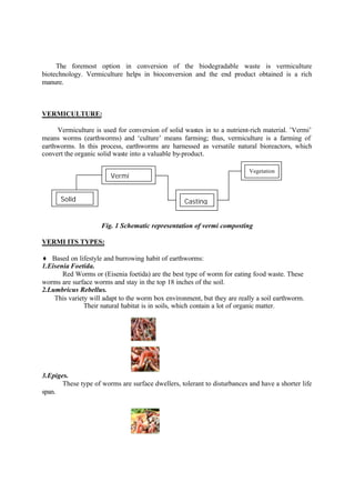 Vermiculture Pdf Vermiculture: A Sustainable System for Solid Waste Treatment | PDF