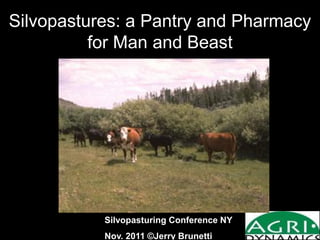 Silvopastures: a Pantry and Pharmacy
for Man and Beast
Silvopasturing Conference NY
Nov. 2011 ©Jerry Brunetti
 