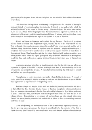special gift given by grace, water, the sun, the gods, and the ancestors who worked in the fields
before them.
The start of the sowing season is marked by a village holiday, and a woman of prestige is
assigned the task of opening this phase by sowing the first seeds in her seedbed after which she
will confine herself to her house to fast for a day. After the holiday, the others start sowing.
(Khor and Lin, 2002). In the Ifugao province, the land owner asks a person to perform the rite
using seeds in his granary, and then sacrifices two chickens. A woman relative of the land owner
plants the seed in the mud and water is put in the seedbed to as part of the ritual.
Canals and dams are inspected and repaired for any damages. As the seeds germinate
and the water is assured, land preparation begins, usually, the end of the rainy season and the
field is flooded. Surrounding areas are cleaned to ward off rats, weeds removed, and the soil is
fertilized using sunflowers plowed in together with rice stubbles. Macale-Macandog (2012)
noted that Tithonia diversifolia (sunflower) is widely used as organic fertilizer in many farms in
Benguet and Ifugao. They have observed that rice plants fertilized with sunflower cuttings have
better growth, robust stalks and higher grain yield. Key informants interviewed in Kalinga also
noted that they used sunflower as organic fertilizer though not as widely used in Benguet and
Ifugao.
A common practice is to allow a standing period after the first plowing and allow any
vegetation to regrow in the field. A second plowing is then done in order to finally fold in the
new growths and complete the process. A week before transplanting, the field must be smooth
and without any growth appearing.
Transplanting is a very important event and a village holiday is declared. A council of
elders identifies a woman of prestige to wake up early on the appointed date to go to her rice
field to plant taro to signal the start of the planting season.
In some villages like Sagada, elders meet and decide the planting ritual and no one works
in the field on that day. The next day, the bangan or the ritual transplanter who inherits this role
from her ancestors, dresses in red, abstains from all worldly indulgences days before, and starts
to plant. Three days later, her children will start to plant their fields, and then the rest of the
village follows. Transplanting is a woman’s job and seedlings are often shared when some
farmers run out of planting materials. It is unthinkable to refuse to share extra seedling materials
with those in need.
After transplanting, the maintenance work is left to the women, especially weeding. As
the rice growing season progresses, the farmer is considered to be the protector of the field to
check the water level, keep away insects and other pests, and perhaps perform other rituals that
 