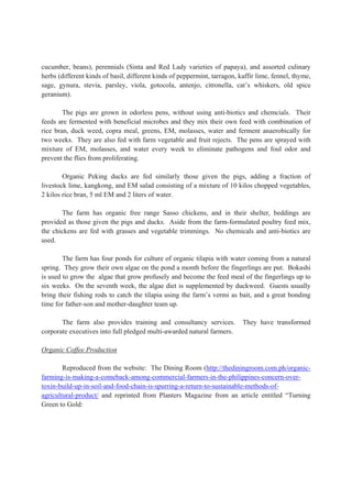 cucumber, beans), perennials (Sinta and Red Lady varieties of papaya), and assorted culinary
herbs (different kinds of basil, different kinds of peppermint, tarragon, kaffir lime, fennel, thyme,
sage, gynura, stevia, parsley, viola, gotocola, antenjo, citronella, cat’s whiskers, old spice
geranium).
The pigs are grown in odorless pens, without using anti-biotics and chemcials. Their
feeds are fermented with beneficial microbes and they mix their own feed with combination of
rice bran, duck weed, copra meal, greens, EM, molasses, water and ferment anaerobically for
two weeks. They are also fed with farm vegetable and fruit rejects. The pens are sprayed with
mixture of EM, molasses, and water every week to eliminate pathogens and foul odor and
prevent the flies from proliferating.
Organic Peking ducks are fed similarly those given the pigs, adding a fraction of
livestock lime, kangkong, and EM salad consisting of a mixture of 10 kilos chopped vegetables,
2 kilos rice bran, 5 ml EM and 2 liters of water.
The farm has organic free range Sasso chickens, and in their shelter, beddings are
provided as those given the pigs and ducks. Aside from the farm-formulated poultry feed mix,
the chickens are fed with grasses and vegetable trimmings. No chemicals and anti-biotics are
used.
The farm has four ponds for culture of organic tilapia with water coming from a natural
spring. They grow their own algae on the pond a month before the fingerlings are put. Bokashi
is used to grow the algae that grow profusely and become the feed meal of the fingerlings up to
six weeks. On the seventh week, the algae diet is supplemented by duckweed. Guests usually
bring their fishing rods to catch the tilapia using the farm’s vermi as bait, and a great bonding
time for father-son and mother-daughter team up.
The farm also provides training and consultancy services. They have transformed
corporate executives into full pledged multi-awarded natural farmers.
Organic Coffee Production
Reproduced from the website: The Dining Room (http://thediningroom.com.ph/organic-
farming-is-making-a-comeback-among-commercial-farmers-in-the-philippines-concern-over-
toxin-build-up-in-soil-and-food-chain-is-spurring-a-return-to-sustainable-methods-of-
agricultural-product/ and reprinted from Planters Magazine from an article entitled “Turning
Green to Gold:
 