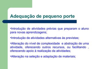 Adequação de pequeno porte Introdução de atividades prévias que preparam o aluno para novas aprendizagens; Introdução de atividades alternativas às previstas; Alteração do nível de complexidade  e abstração de uma atividade, oferecendo outros recursos, ou facilitando , oferecendo apoio à realização da atividades; Alteração na seleção e adaptação de materiais; 