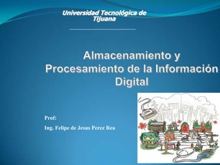 Universidad Tecnológica de Tijuana Almacenamiento y Procesamiento de la Información Digital Prof:  Ing. Felipe de JesusPerez Rea 