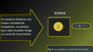 Al construir bobinas con
mayor cantidad de
receptores, se plantea
que cada receptor tenga
un canal de transmisión
Fig. 3. un receptor, un canal de transmisión
1 1
BOBINA
 