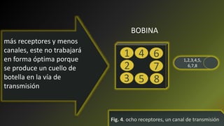 más receptores y menos
canales, este no trabajará
en forma óptima porque
se produce un cuello de
botella en la vía de
transmisión
Fig. 4. ocho receptores, un canal de transmisión
1 1,2,3,4,5,
6,7,8
BOBINA
2
3 5 8
7
64
 