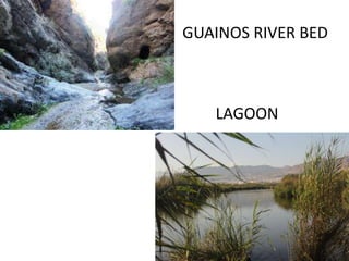 GUAINOS RIVER BED
LAGOON
 