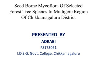 Seed Borne Mycoflora Of Selected
Forest Tree Species In Mudigere Region
Of Chikkamagaluru District
PRESENTED BY
ADRABI
PS173051
I.D.S.G. Govt. College, Chikkamagaluru
 