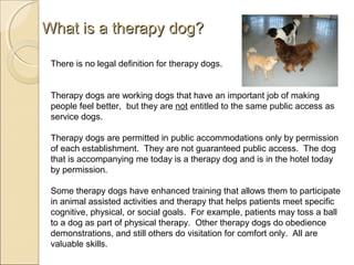 do hotels have to allow therapy dogs