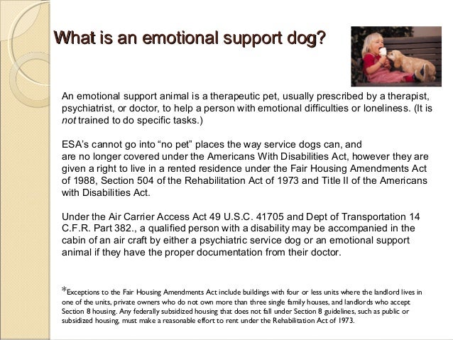 Service Dogs Therapy Dogs Emotional Support Animals