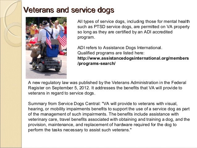 veteran service dog registration