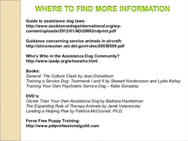 emotional support animal age requirements emotional support animal age requirements