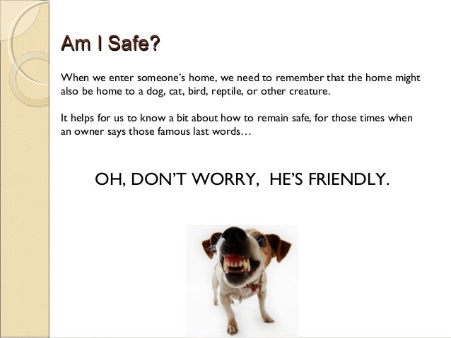 Training Your Own Psychiatric Service Dog By Katie Gonzalez Training Your Own Psychiatric Service Dog By Katie Gonzalez