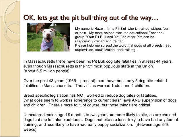 Therapy Dog Breed Statistics Therapy Dog Breed Statistics