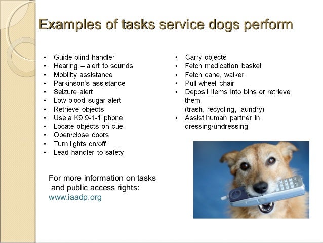 Depression Anxiety Service Dog Tasks Depression Anxiety Service Dog Tasks