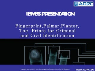 IBMBS PRESENTATION Fingerprint,Palmar,Plantar, Toe  Prints for Criminal and Civil Identification 