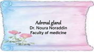 Adrenal gland
Dr. Noura Noraddin
Faculty of medicine
 
