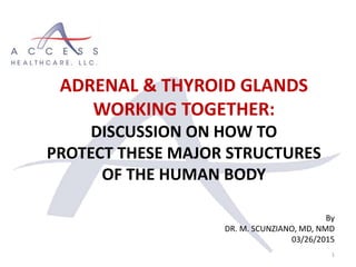 By
DR. M. SCUNZIANO, MD, NMD
03/26/2015
1
ADRENAL & THYROID GLANDS
WORKING TOGETHER:
DISCUSSION ON HOW TO
PROTECT THESE MAJOR STRUCTURES
OF THE HUMAN BODY
 