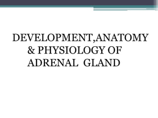 Adrenal | PPTX