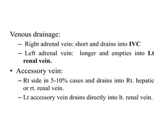 Venous drainage:
– Right adrenal vein: short and drains into IVC
– Left adrenal vein: longer and empties into Lt
renal vein.
• Accessory vein:
– Rt side in 5-10% cases and drains into Rt. hepatic
or rt. renal vein.
– Lt accessory vein drains directly into lt. renal vein.
 