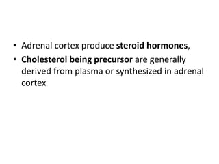 • Adrenal cortex produce steroid hormones,
• Cholesterol being precursor are generally
derived from plasma or synthesized in adrenal
cortex
 
